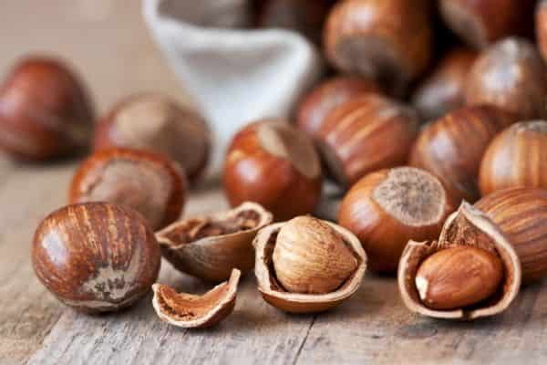 تصویر 3 از خرید و قیمت فندق شور بوداده + فروش عمده